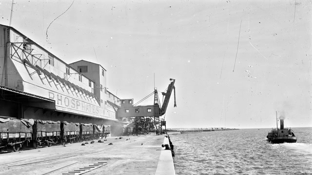 Phosphate port